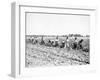 Mexican Youths-null-Framed Premium Photographic Print