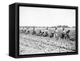 Mexican Youths-null-Framed Stretched Canvas