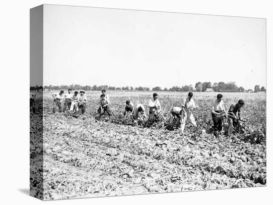 Mexican Youths-null-Stretched Canvas