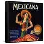 Mexicana Brand - Canoga Park, California - Citrus Crate Label-Lantern Press-Framed Stretched Canvas