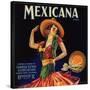 Mexicana Brand - Canoga Park, California - Citrus Crate Label-Lantern Press-Stretched Canvas