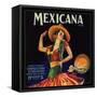 Mexicana Brand - Canoga Park, California - Citrus Crate Label-Lantern Press-Framed Stretched Canvas