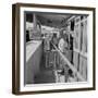 Mexicans entering the United States at El Paso, Texas, 1938-Dorothea Lange-Framed Photographic Print