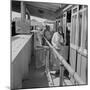 Mexicans entering the United States at El Paso, Texas, 1938-Dorothea Lange-Mounted Photographic Print