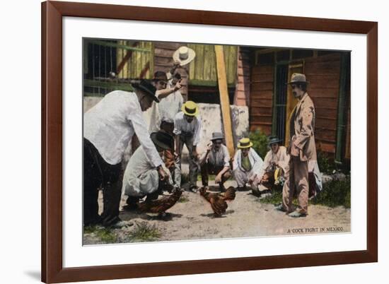 Mexico - A Cock Fight Scene-Lantern Press-Framed Art Print