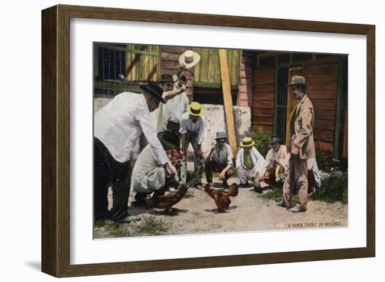 Mexico - A Cock Fight Scene-Lantern Press-Framed Art Print