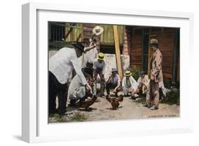 Mexico - A Cock Fight Scene-Lantern Press-Framed Art Print