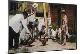 Mexico - A Cock Fight Scene-Lantern Press-Mounted Art Print