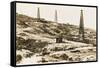 Mexico - Amatlan - a Major Oil-Producing Area of the Country-null-Framed Stretched Canvas