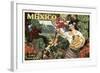 Mexico and Bananas-null-Framed Giclee Print