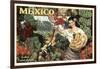 Mexico and Bananas-null-Framed Giclee Print