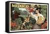 Mexico and Bananas-null-Framed Stretched Canvas