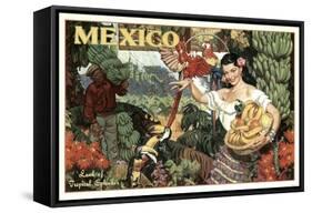 Mexico and Bananas-null-Framed Stretched Canvas