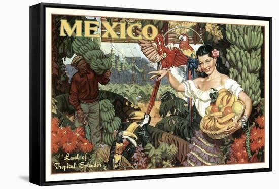 Mexico and Bananas-null-Framed Stretched Canvas