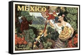 Mexico and Bananas-null-Framed Stretched Canvas