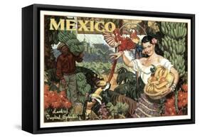 Mexico and Bananas-null-Framed Stretched Canvas