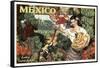 Mexico and Bananas-null-Framed Stretched Canvas