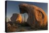 Mexico, Baja California. Boojum Trees and Boulder Formations at Sunset Near Catavina-Judith Zimmerman-Stretched Canvas