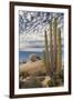 Mexico, Baja California, Cardon Cactus Surround Boulder Formations Near Catavina-Judith Zimmerman-Framed Photographic Print