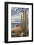 Mexico, Baja California, Cardon Cactus Surround Boulder Formations Near Catavina-Judith Zimmerman-Framed Photographic Print