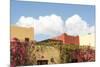 Mexico, Baja California Sur, Loreto Bay. Bougainvillea and clouds-Trish Drury-Mounted Photographic Print