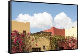 Mexico, Baja California Sur, Loreto Bay. Bougainvillea and clouds-Trish Drury-Framed Stretched Canvas