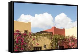 Mexico, Baja California Sur, Loreto Bay. Bougainvillea and clouds-Trish Drury-Framed Stretched Canvas