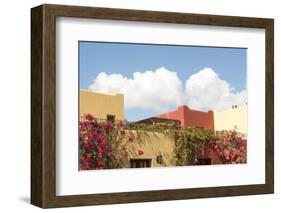 Mexico, Baja California Sur, Loreto Bay. Bougainvillea and clouds-Trish Drury-Framed Photographic Print