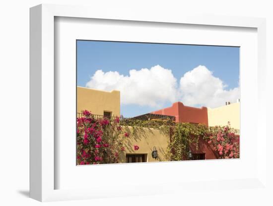 Mexico, Baja California Sur, Loreto Bay. Bougainvillea and clouds-Trish Drury-Framed Photographic Print