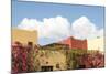 Mexico, Baja California Sur, Loreto Bay. Bougainvillea and clouds-Trish Drury-Mounted Photographic Print