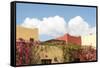 Mexico, Baja California Sur, Loreto Bay. Bougainvillea and clouds-Trish Drury-Framed Stretched Canvas