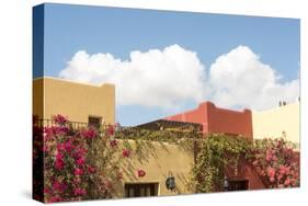 Mexico, Baja California Sur, Loreto Bay. Bougainvillea and clouds-Trish Drury-Stretched Canvas