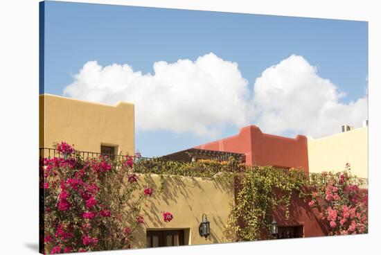 Mexico, Baja California Sur, Loreto Bay. Bougainvillea and clouds-Trish Drury-Stretched Canvas