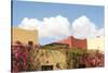 Mexico, Baja California Sur, Loreto Bay. Bougainvillea and clouds-Trish Drury-Stretched Canvas