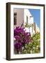 Mexico, Baja California Sur, Loreto. Colorful display of bougainvillea-Trish Drury-Framed Photographic Print