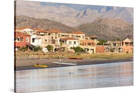 Mexico, Baja California Sur, Sea of Cortez. Early morning activity on beach-Trish Drury-Stretched Canvas