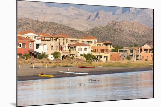 Mexico, Baja California Sur, Sea of Cortez. Early morning activity on beach-Trish Drury-Mounted Photographic Print