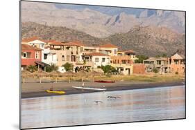 Mexico, Baja California Sur, Sea of Cortez. Early morning activity on beach-Trish Drury-Mounted Photographic Print