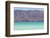 Mexico, Baja California Sur, Sea of Cortez, Loreto Bay. Lone sailboat.-Trish Drury-Framed Photographic Print