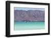 Mexico, Baja California Sur, Sea of Cortez, Loreto Bay. Lone sailboat.-Trish Drury-Framed Photographic Print