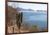 Mexico, Baja California Sur, Sea of Cortez, Loreto Bay.-Trish Drury-Framed Photographic Print