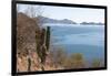 Mexico, Baja California Sur, Sea of Cortez, Loreto Bay.-Trish Drury-Framed Photographic Print