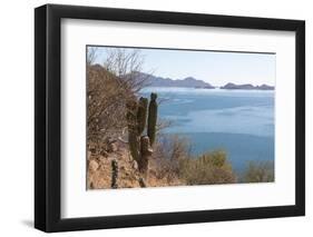 Mexico, Baja California Sur, Sea of Cortez, Loreto Bay.-Trish Drury-Framed Photographic Print