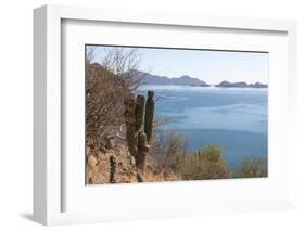 Mexico, Baja California Sur, Sea of Cortez, Loreto Bay.-Trish Drury-Framed Photographic Print