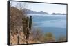 Mexico, Baja California Sur, Sea of Cortez, Loreto Bay.-Trish Drury-Framed Stretched Canvas