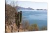 Mexico, Baja California Sur, Sea of Cortez, Loreto Bay.-Trish Drury-Stretched Canvas