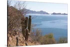 Mexico, Baja California Sur, Sea of Cortez, Loreto Bay.-Trish Drury-Stretched Canvas
