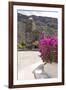 Mexico, Baja California Sur, Sea of Cortez. Mission San Francisco Javier with bougainvillea blooms-Trish Drury-Framed Photographic Print