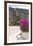 Mexico, Baja California Sur, Sea of Cortez. Mission San Francisco Javier with bougainvillea blooms-Trish Drury-Framed Photographic Print