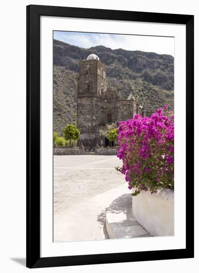 Mexico, Baja California Sur, Sea of Cortez. Mission San Francisco Javier with bougainvillea blooms-Trish Drury-Framed Premium Photographic Print